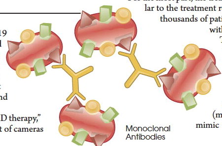 “MONOCLONAL ANTIBODIES”