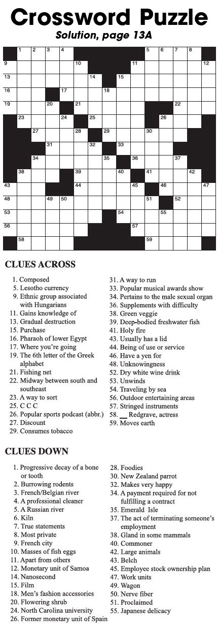 Crossword Puzzle