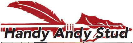 Handy Andy Stud