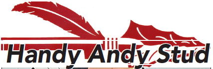 Handy Andy Stud