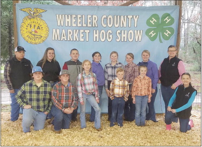 FFA/4-H Participate in 36th Annual  Market Hog Show in Wheeler County