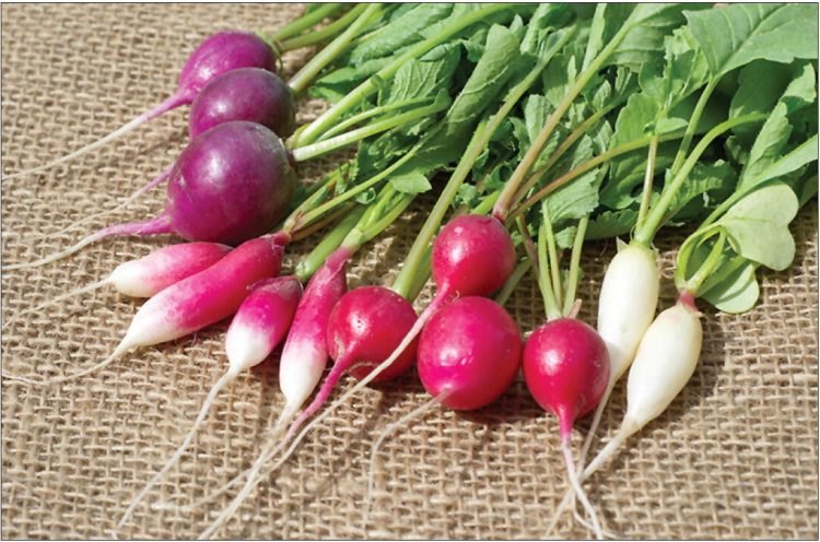 The Radish Remedy