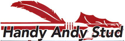 Handy Andy Stud