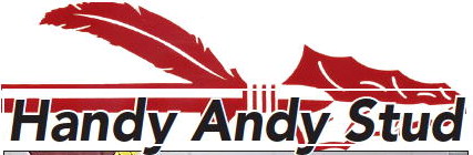 Handy Andy Stud