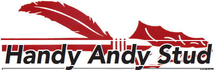 Indians Cross Country  Races In Americus