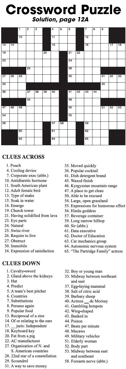 Crossword Puzzle