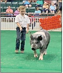 Wheeler County Show  Team Begins Season