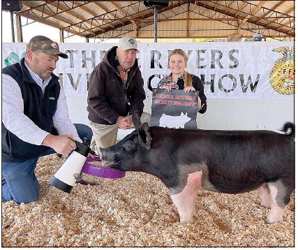 Wheeler County Students Exhibit in Three Rivers Market Hog Show