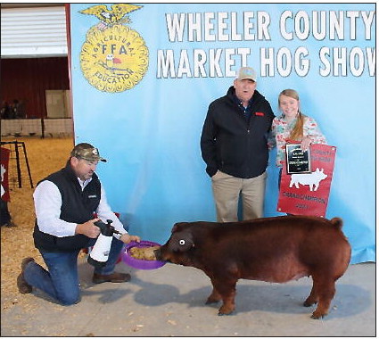 Thirty-Eighth Annual Wheeler County FFA/4-H Market Hog Show