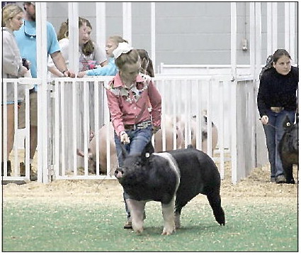 Wheeler County Show Team  Finishes the Season in Perry