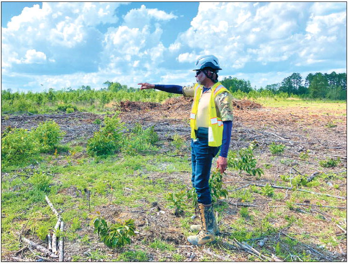 Local Veteran Leads Massive  Toombs County Solar Project