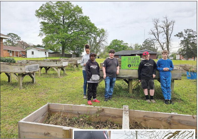 WHEELER 4-H PLANTS GARDEN  ….