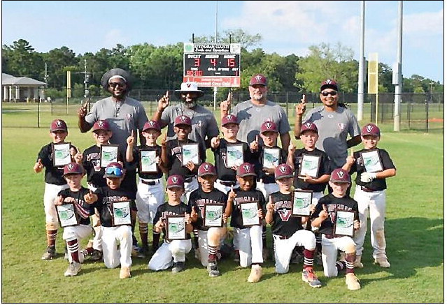 Vidalia & Lyons 8U Go 1-2 At District