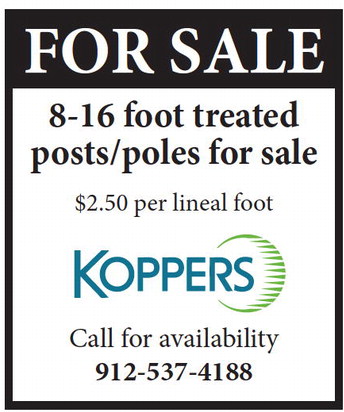 theadvance_20250212_a_02-12-2025_vid_13_w-or9_art_3.xml