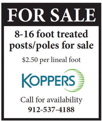 theadvance_20250205_a_02-05-2025_vid_3_w-or9_art_1.xml