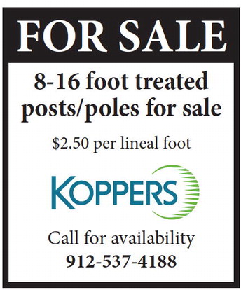 theadvance_20250319_b_3-19-25_vid_04_w-or9_art_8.xml