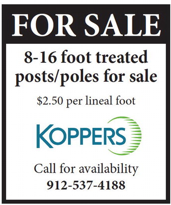 theadvance_20250312_b_3-5-25_vid_04_w-or9_art_5.xml