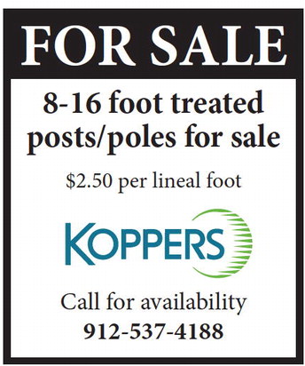 theadvance_20250305_a_03-05-2025_vid_4_w-or9_art_2.xml