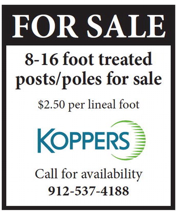 theadvance_20250430_b_4-30-25_vid_04_w-or9_art_7.xml