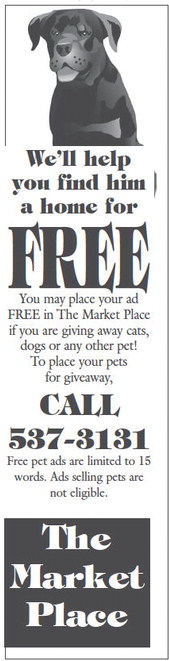 theadvance_20250507_b_5-7-25_vid_08.001_w-or9_art_0.xml