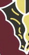 Lady Indians  Win State  Championship