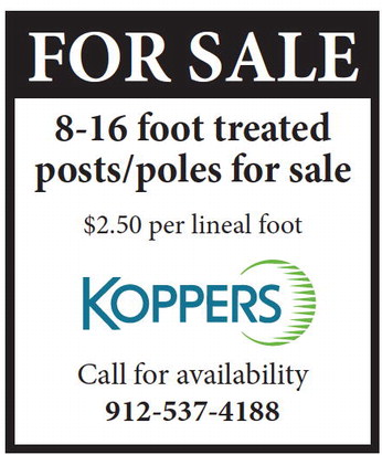 theadvance_20250625_b_6-25-25_vid_03_w-or9_art_3.xml