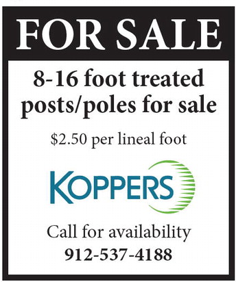 theadvance_20250618_b_6-18-25_vid_03_w-opt_art_1.xml