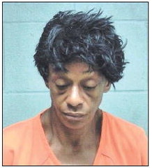 Woman Charged with Arson  In Fire That Killed Dog