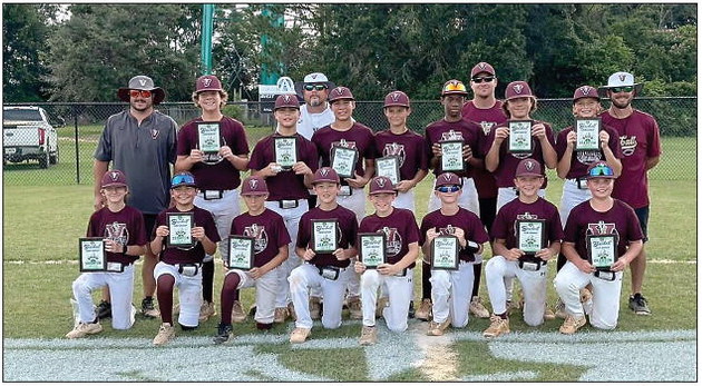 VRD Takes 12U District Title