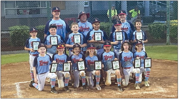 Lyons Wins 10U District;  Vidalia Takes 2nd Place