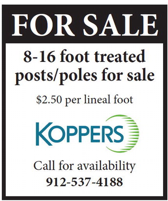 theadvance_20250611_b_6-11-25_vid_04_w-or9_art_2.xml