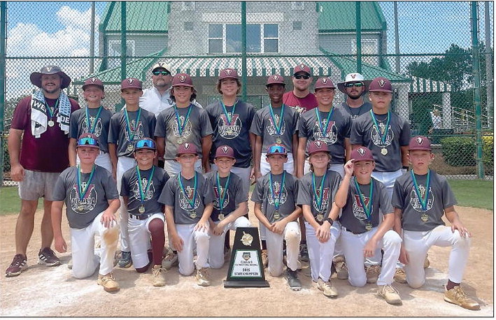 VRD 12U Boys Win State Title