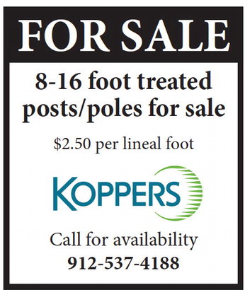 theadvance_20250716_b_7-16-25_vid_02_w-or9_art_5.xml