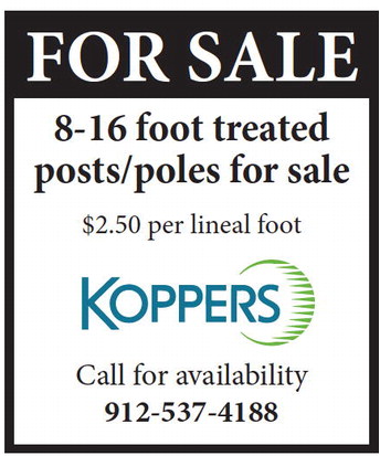 theadvance_20250806_a_08-06-2025_vid_2_w-opt_art_4.xml