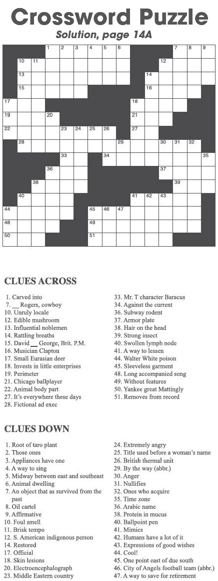 Crossword Puzzle