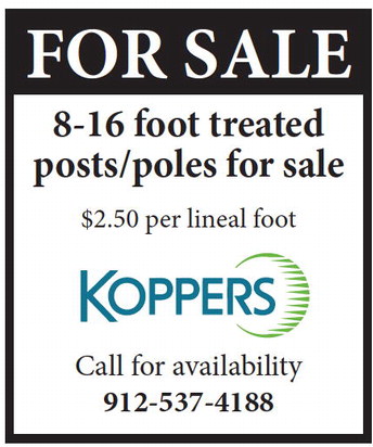 theadvance_20251112_b_11-12-25_vid_04_w-or9_art_6.xml