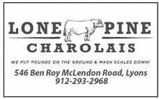 theadvance_20251105_a_11-5-2025_vid_10_w-or9_art_29.xml