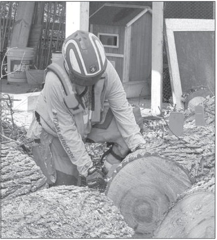 continued from page
Foods invested …. continued from page
Foods invested ….