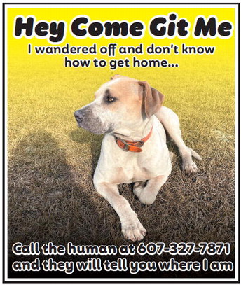 theadvance_20260121_b_1-21-26_vid_03_w-or9_art_4.xml