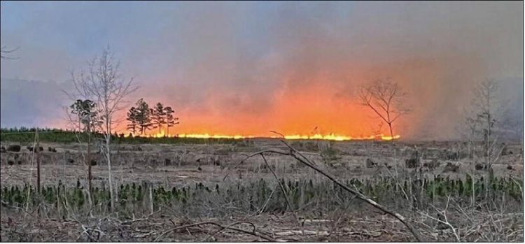 Fire Danger Extremely  High Throughout Area