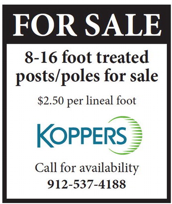 theadvance_20260218_b_2-18-26_vid_02_w-or9_art_3.xml