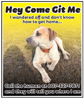 theadvance_20260204_b_2-4-26_vid_11_w-or9_art_1.xml