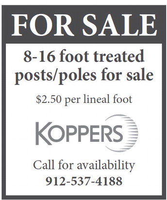 theadvance_20260304_a_03-04-2026_vid_9_w-or9_art_6.xml