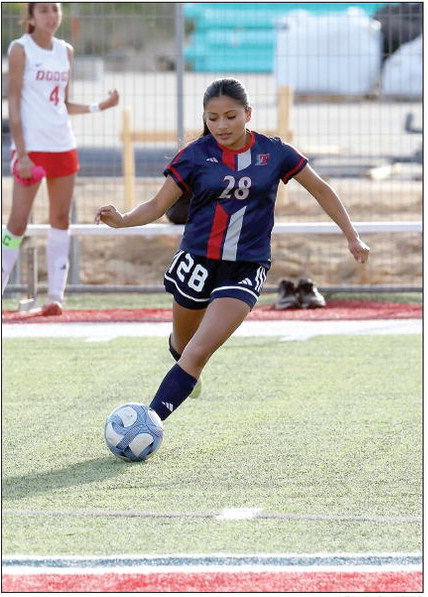 Toombs Soccer Sweeps 1st Round of Playoffs