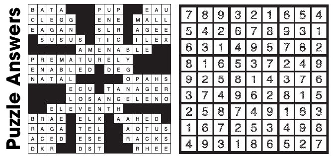 Puzzle Answers ….