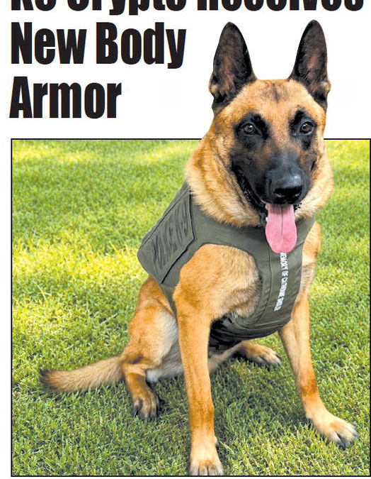 K9 Crypto Receives New Body Armor K9 Crypto Receives New Body Armor