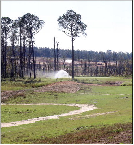 continued from page
The ....