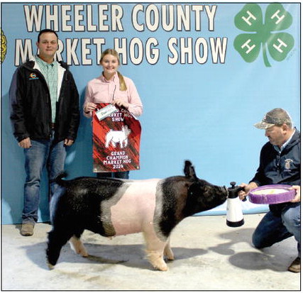 Wheeler Hosts 41st Annual 4-H & FFA Market Hog Show